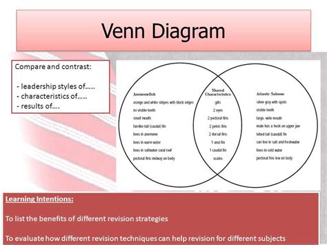 EXPLORING THE DIFFERENCES BETWEEN .